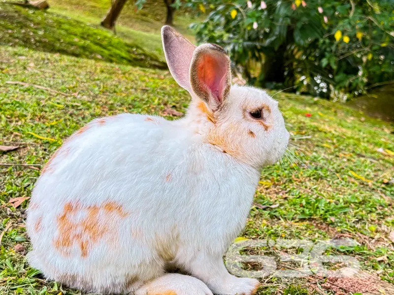 Apresentamos uma oportunidade única para você adqu