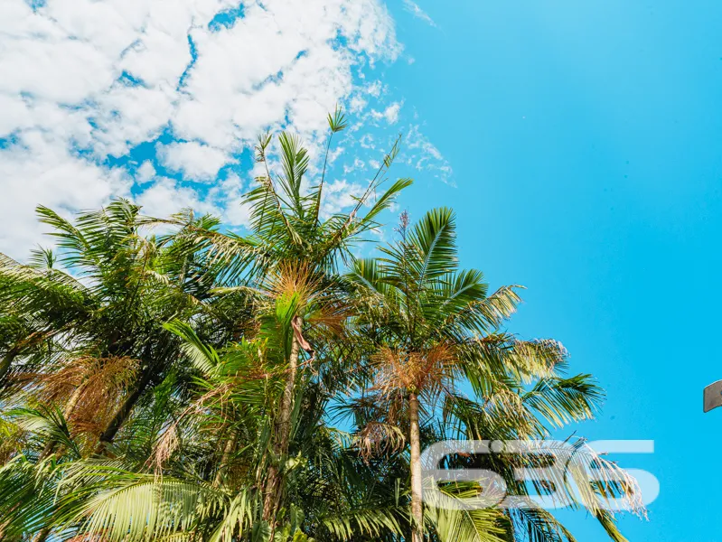 Seu Novo Lar em Joinville - Um Sobrado dos Sonhos 