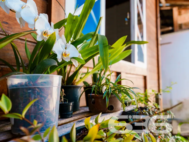 Casa à venda em Joinville, SC no bairro Vila Nova: