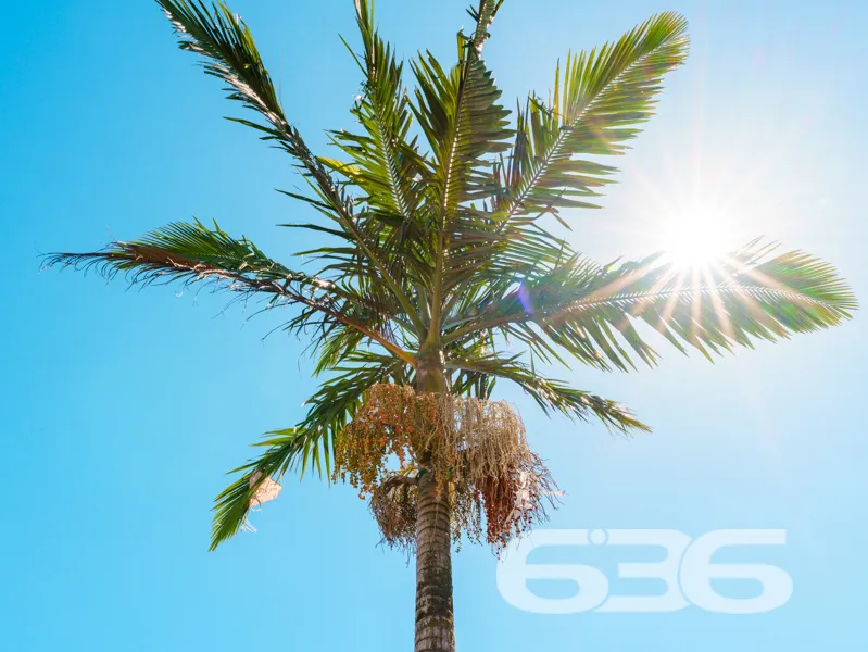 Casa à venda em Joinville, SC no bairro Vila Nova: