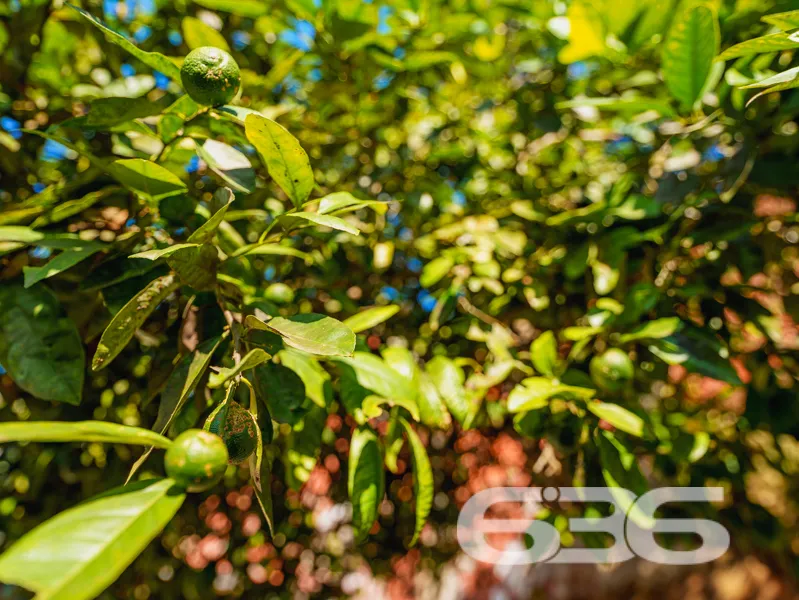 Casa térrea à venda no bairro João Costa, Joinvill