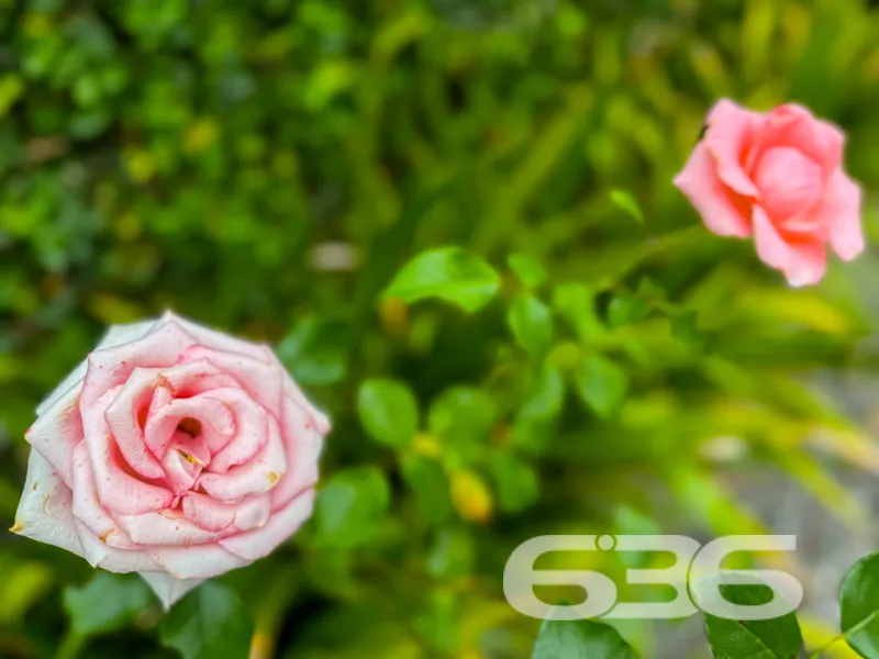 **Incrível Oportunidade em Saguaçu, Joinville - Re