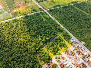 Terreno - Nova Brasília - Joinville