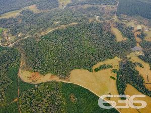 Chácara/Sítio - BATEIAS DE BAIXO - Campo Alegre