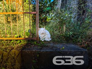 Residência - Itaum - Joinville