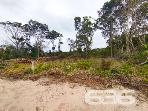 Terreno - Ervino - São Francisco do Sul