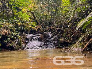 Chácara/Sítio - Estrada Geral do Saltinho - Campo Alegre