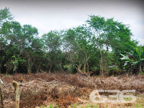 EXCELENTE TERRENO À VENDA NO BAIRRO PINHEIROS

Você não vai querer perder essa chance de construir o projeto dos seus sonhos em um local de crescimento, cercado de experiências inesquecíveis para desfrutar com a sua família!

Apresentamos a você um terreno verdadeiramente único à venda em Balneário Barra do Sul, situado no loteamento Maria Fernanda, no bairro Pinheiros. Com generosos 592m², e impressionantes 14 metros de frente, este lote plano e pronto para construção se tornará o cenário perfeito para o seu projeto pessoal.

Aqui, você terá a liberdade de dar vida ao espaço ideal para criar momentos especiais à beira-mar. Com escritura pública, registro de imóveis e infraestrutura completa, este terreno é a base sólida para materializar o projeto da sua casa na praia.

E a melhor parte? O parcelamento direto com a Imobiliária 636, facilitando o seu caminho para adquirir o espaço perfeito. Não perca esta oportunidade singular de edificar a residência que sempre imaginou, em um ambiente que oferece toda a beleza e tranquilidade que a praia pode proporcionar.

Entre em contato conosco agora mesmo e agende uma visita! Venha vivenciar uma experiência ímpar em Balneário Barra do Sul.

Telefone: (47) 3448-3636
WhatsApp: (47) 99190-0636

Imobiliária 636.