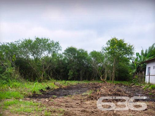 EXCELENTE TERRENO À VENDA NO BAIRRO PINHEIROS

Você não vai querer perder essa chance de construir o projeto dos seus sonhos em um local de crescimento, cercado de experiências inesquecíveis para desfrutar com a sua família!

Apresentamos a você um terreno verdadeiramente único à venda em Balneário Barra do Sul, situado no loteamento Maria Fernanda, no bairro Pinheiros. Com generosos 592m², e impressionantes 14 metros de frente, este lote plano e pronto para construção se tornará o cenário perfeito para o seu projeto pessoal.

Aqui, você terá a liberdade de dar vida ao espaço ideal para criar momentos especiais à beira-mar. Com escritura pública, registro de imóveis e infraestrutura completa, este terreno é a base sólida para materializar o projeto da sua casa na praia.

E a melhor parte? O parcelamento direto com a Imobiliária 636, facilitando o seu caminho para adquirir o espaço perfeito. Não perca esta oportunidade singular de edificar a residência que sempre imaginou, em um ambiente que oferece toda a beleza e tranquilidade que a praia pode proporcionar.

Entre em contato conosco agora mesmo e agende uma visita! Venha vivenciar uma experiência ímpar em Balneário Barra do Sul.

Telefone: (47) 3448-3636
WhatsApp: (47) 99190-0636

Imobiliária 636.