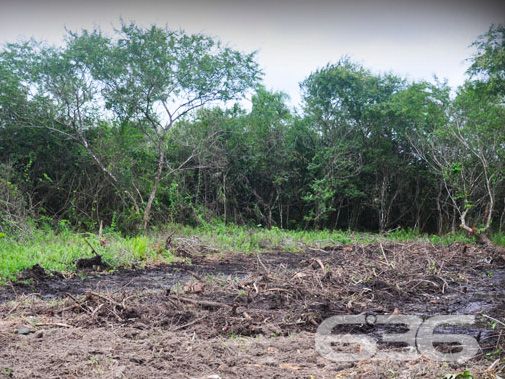 EXCELENTE TERRENO À VENDA NO BAIRRO PINHEIROS

Você não vai querer perder essa chance de construir o projeto dos seus sonhos em um local de crescimento, cercado de experiências inesquecíveis para desfrutar com a sua família!

Apresentamos a você um terreno verdadeiramente único à venda em Balneário Barra do Sul, situado no loteamento Maria Fernanda, no bairro Pinheiros. Com generosos 592m², e impressionantes 14 metros de frente, este lote plano e pronto para construção se tornará o cenário perfeito para o seu projeto pessoal.

Aqui, você terá a liberdade de dar vida ao espaço ideal para criar momentos especiais à beira-mar. Com escritura pública, registro de imóveis e infraestrutura completa, este terreno é a base sólida para materializar o projeto da sua casa na praia.

E a melhor parte? O parcelamento direto com a Imobiliária 636, facilitando o seu caminho para adquirir o espaço perfeito. Não perca esta oportunidade singular de edificar a residência que sempre imaginou, em um ambiente que oferece toda a beleza e tranquilidade que a praia pode proporcionar.

Entre em contato conosco agora mesmo e agende uma visita! Venha vivenciar uma experiência ímpar em Balneário Barra do Sul.

Telefone: (47) 3448-3636
WhatsApp: (47) 99190-0636

Imobiliária 636.