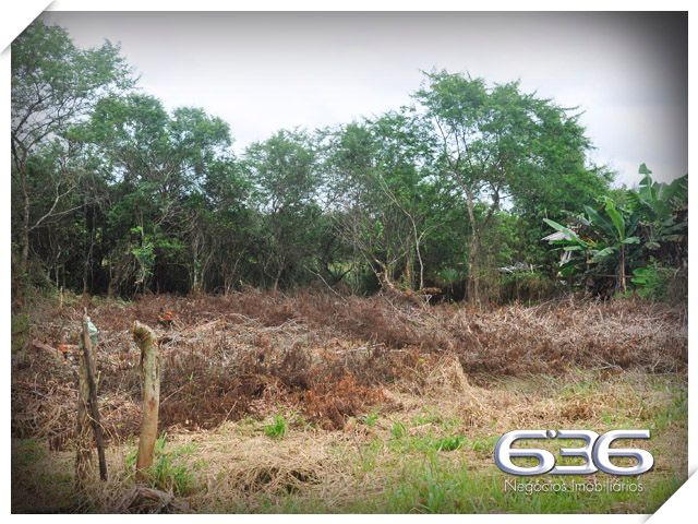 EXCELENTE TERRENO À VENDA NO BAIRRO PINHEIROS

Você não vai querer perder essa chance de construir o projeto dos seus sonhos em um local de crescimento, cercado de experiências inesquecíveis para desfrutar com a sua família!

Apresentamos a você um terreno verdadeiramente único à venda em Balneário Barra do Sul, situado no loteamento Maria Fernanda, no bairro Pinheiros. Com generosos 592m², e impressionantes 14 metros de frente, este lote plano e pronto para construção se tornará o cenário perfeito para o seu projeto pessoal.

Aqui, você terá a liberdade de dar vida ao espaço ideal para criar momentos especiais à beira-mar. Com escritura pública, registro de imóveis e infraestrutura completa, este terreno é a base sólida para materializar o projeto da sua casa na praia.

E a melhor parte? O parcelamento direto com a Imobiliária 636, facilitando o seu caminho para adquirir o espaço perfeito. Não perca esta oportunidade singular de edificar a residência que sempre imaginou, em um ambiente que oferece toda a beleza e tranquilidade que a praia pode proporcionar.

Entre em contato conosco agora mesmo e agende uma visita! Venha vivenciar uma experiência ímpar em Balneário Barra do Sul.

Telefone: (47) 3448-3636
WhatsApp: (47) 99190-0636

Imobiliária 636.