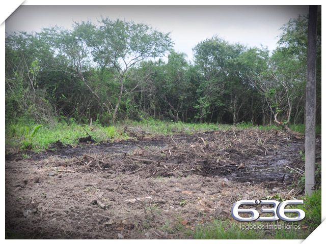 EXCELENTE TERRENO À VENDA NO BAIRRO PINHEIROS

Você não vai querer perder essa chance de construir o projeto dos seus sonhos em um local de crescimento, cercado de experiências inesquecíveis para desfrutar com a sua família!

Apresentamos a você um terreno verdadeiramente único à venda em Balneário Barra do Sul, situado no loteamento Maria Fernanda, no bairro Pinheiros. Com generosos 592m², e impressionantes 14 metros de frente, este lote plano e pronto para construção se tornará o cenário perfeito para o seu projeto pessoal.

Aqui, você terá a liberdade de dar vida ao espaço ideal para criar momentos especiais à beira-mar. Com escritura pública, registro de imóveis e infraestrutura completa, este terreno é a base sólida para materializar o projeto da sua casa na praia.

E a melhor parte? O parcelamento direto com a Imobiliária 636, facilitando o seu caminho para adquirir o espaço perfeito. Não perca esta oportunidade singular de edificar a residência que sempre imaginou, em um ambiente que oferece toda a beleza e tranquilidade que a praia pode proporcionar.

Entre em contato conosco agora mesmo e agende uma visita! Venha vivenciar uma experiência ímpar em Balneário Barra do Sul.

Telefone: (47) 3448-3636
WhatsApp: (47) 99190-0636

Imobiliária 636.
