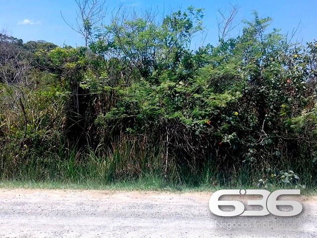 OPORTUNIDADE DE TERRENO EM BALNEÁRIO BARRA DO SUL, SANTA CATARINA
São 360m² de terreno com área muito boa para investimento, com 12m² de fundos e 30m² de lados. Terreno de topografia plana e regular, pronto para obras.
Perfeito para você que deseja começar aquela construção dos sonhos.
Localizado no bairro Pinheiros, em Balneário Barra do Sul, município de suma importância para o estado de Santa Catarina, possui inúmeras opções de lazer e passeios com maravilhosas paisagens e praias exuberantes.
Terreno localizado no Loteamento Maria Fernanda, próximo de estabelecimentos e comércios de grande utilidade diária como, mercado, restaurante, pousada e outros serviços. Com fácil acesso para a rodovia SC-415, há cerca de 680 metros de distância da lagoa Maria Fernanda.
Gostou? Então agende já sua visita com um de nossos corretores e saiba mais sobre esse vantajoso e oportuno investimento.
Esperamos por você!!!
Fale conosco:
Telefone: (47) 3448-3636
WhatsApp: (47) 99190-0636
Imobiliária 636.