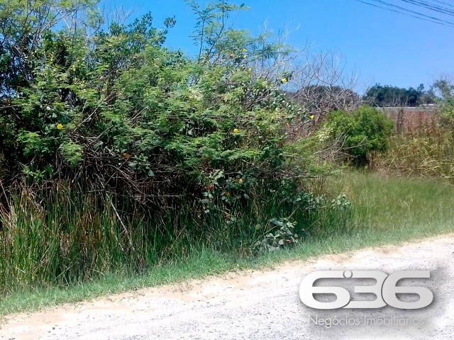 OPORTUNIDADE DE TERRENO EM BALNEÁRIO BARRA DO SUL, SANTA CATARINA
São 360m² de terreno com área muito boa para investimento, com 12m² de fundos e 30m² de lados. Terreno de topografia plana e regular, pronto para obras.
Perfeito para você que deseja começar aquela construção dos sonhos.
Localizado no bairro Pinheiros, em Balneário Barra do Sul, município de suma importância para o estado de Santa Catarina, possui inúmeras opções de lazer e passeios com maravilhosas paisagens e praias exuberantes.
Terreno localizado no Loteamento Maria Fernanda, próximo de estabelecimentos e comércios de grande utilidade diária como, mercado, restaurante, pousada e outros serviços. Com fácil acesso para a rodovia SC-415, há cerca de 680 metros de distância da lagoa Maria Fernanda.
Gostou? Então agende já sua visita com um de nossos corretores e saiba mais sobre esse vantajoso e oportuno investimento.
Esperamos por você!!!
Fale conosco:
Telefone: (47) 3448-3636
WhatsApp: (47) 99190-0636
Imobiliária 636.