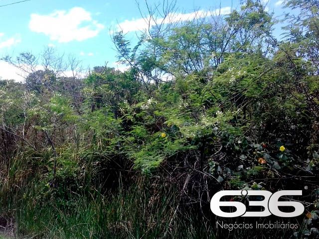 OPORTUNIDADE DE TERRENO EM BALNEÁRIO BARRA DO SUL, SANTA CATARINA
São 360m² de terreno com área muito boa para investimento, com 12m² de fundos e 30m² de lados. Terreno de topografia plana e regular, pronto para obras.
Perfeito para você que deseja começar aquela construção dos sonhos.
Localizado no bairro Pinheiros, em Balneário Barra do Sul, município de suma importância para o estado de Santa Catarina, possui inúmeras opções de lazer e passeios com maravilhosas paisagens e praias exuberantes.
Terreno localizado no Loteamento Maria Fernanda, próximo de estabelecimentos e comércios de grande utilidade diária como, mercado, restaurante, pousada e outros serviços. Com fácil acesso para a rodovia SC-415, há cerca de 680 metros de distância da lagoa Maria Fernanda.
Gostou? Então agende já sua visita com um de nossos corretores e saiba mais sobre esse vantajoso e oportuno investimento.
Esperamos por você!!!
Fale conosco:
Telefone: (47) 3448-3636
WhatsApp: (47) 99190-0636
Imobiliária 636.