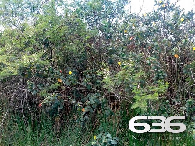 OPORTUNIDADE DE TERRENO EM BALNEÁRIO BARRA DO SUL, SANTA CATARINA
São 360m² de terreno com área muito boa para investimento, com 12m² de fundos e 30m² de lados. Terreno de topografia plana e regular, pronto para obras.
Perfeito para você que deseja começar aquela construção dos sonhos.
Localizado no bairro Pinheiros, em Balneário Barra do Sul, município de suma importância para o estado de Santa Catarina, possui inúmeras opções de lazer e passeios com maravilhosas paisagens e praias exuberantes.
Terreno localizado no Loteamento Maria Fernanda, próximo de estabelecimentos e comércios de grande utilidade diária como, mercado, restaurante, pousada e outros serviços. Com fácil acesso para a rodovia SC-415, há cerca de 680 metros de distância da lagoa Maria Fernanda.
Gostou? Então agende já sua visita com um de nossos corretores e saiba mais sobre esse vantajoso e oportuno investimento.
Esperamos por você!!!
Fale conosco:
Telefone: (47) 3448-3636
WhatsApp: (47) 99190-0636
Imobiliária 636.
