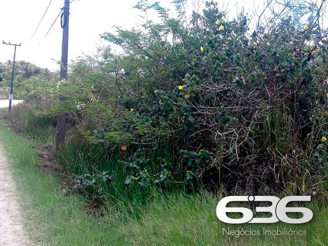 OPORTUNIDADE DE TERRENO EM BALNEÁRIO BARRA DO SUL, SANTA CATARINA
São 360m² de terreno com área muito boa para investimento, com 12m² de fundos e 30m² de lados. Terreno de topografia plana e regular, pronto para obras.
Perfeito para você que deseja começar aquela construção dos sonhos.
Localizado no bairro Pinheiros, em Balneário Barra do Sul, município de suma importância para o estado de Santa Catarina, possui inúmeras opções de lazer e passeios com maravilhosas paisagens e praias exuberantes.
Terreno localizado no Loteamento Maria Fernanda, próximo de estabelecimentos e comércios de grande utilidade diária como, mercado, restaurante, pousada e outros serviços. Com fácil acesso para a rodovia SC-415, há cerca de 680 metros de distância da lagoa Maria Fernanda.
Gostou? Então agende já sua visita com um de nossos corretores e saiba mais sobre esse vantajoso e oportuno investimento.
Esperamos por você!!!
Fale conosco:
Telefone: (47) 3448-3636
WhatsApp: (47) 99190-0636
Imobiliária 636.