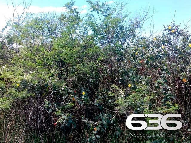 OPORTUNIDADE DE TERRENO EM BALNEÁRIO BARRA DO SUL, SANTA CATARINA
São 360m² de terreno com área muito boa para investimento, com 12m² de fundos e 30m² de lados. Terreno de topografia plana e regular, pronto para obras.
Perfeito para você que deseja começar aquela construção dos sonhos.
Localizado no bairro Pinheiros, em Balneário Barra do Sul, município de suma importância para o estado de Santa Catarina, possui inúmeras opções de lazer e passeios com maravilhosas paisagens e praias exuberantes.
Terreno localizado no Loteamento Maria Fernanda, próximo de estabelecimentos e comércios de grande utilidade diária como, mercado, restaurante, pousada e outros serviços. Com fácil acesso para a rodovia SC-415, há cerca de 680 metros de distância da lagoa Maria Fernanda.
Gostou? Então agende já sua visita com um de nossos corretores e saiba mais sobre esse vantajoso e oportuno investimento.
Esperamos por você!!!
Fale conosco:
Telefone: (47) 3448-3636
WhatsApp: (47) 99190-0636
Imobiliária 636.