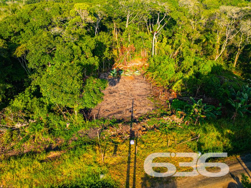 Descubra o Potencial do Seu Próximo Investimento em Balneário Barra do Sul, SC!
Apresentamos uma excelente oportunidade de investimento em Balneário Barra do Sul, localizado no charmoso bairro de Salinas. Este terreno plano e com geometria regular oferece 325 m² de área total, com dimensões ideais para desenvolvimento residencial ou comercial. O terreno proporciona espaço suficiente para uma ampla gama de projetos arquitetônicos.
Localizado em uma rua pavimentada, o acesso é facilitado e integrado à bela paisagem da região, que combina a tranquilidade da natureza com a conveniência urbana. A proximidade com a praia e a visão de áreas verdes ao redor enriquecem ainda mais o potencial deste espaço.
Imagine seu novo projeto ou residência nesse local pitoresco, onde a brisa do mar complementa o cenário perfeito para um estilo de vida relaxante ou um empreendimento próspero. O terreno é ideal para quem busca construir uma casa de veraneio, um estabelecimento comercial voltado para o turismo ou até mesmo um investimento de longo prazo em uma das áreas mais valorizadas de Santa Catarina.
O posicionamento do terreno, voltado para o sul, garante iluminação natural ideal, criando um ambiente acolhedor e energizante durante todo o ano. Esta área de Balneário Barra do Sul é conhecida por seu ambiente seguro e familiar, o que a torna ainda mais atraente para investidores e futuros moradores.
Balneário Barra do Sul é um destino em crescimento, reconhecido por suas belas praias e potencial turístico. Investir aqui é garantia de retorno, seja pela valorização constante da região ou pelo crescente interesse por imóveis no litoral catarinense.
Faça parte deste desenvolvimento e transforme visão em realidade. Para mais informações e detalhes sobre esta oportunidade única, entre em contato com a 636 Negócios Imobiliários. Estamos prontos para ajudá-lo a fazer a escolha certa para seu próximo grande investimento.
636 NEGÓCIOS IMOBILIÁRIOS: A SUA MELHOR ESCOLHA
Com mais de 30 anos de experiência, a 636 Negócios Imobiliários é sua parceira ideal para encontrar o imóvel perfeito. Estamos prontos para ajudá-lo a fazer deste imóvel o seu novo lar.
Telefone: (47) 3451-0636
WhatsApp: (47) 99190-0636
Não perca esta oportunidade única. Visite nosso site para mais informações: i636.com.br