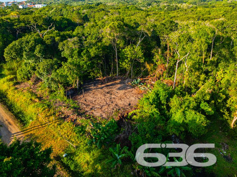 Descubra o Potencial do Seu Próximo Investimento em Balneário Barra do Sul, SC!
Apresentamos uma excelente oportunidade de investimento em Balneário Barra do Sul, localizado no charmoso bairro de Salinas. Este terreno plano e com geometria regular oferece 325 m² de área total, com dimensões ideais para desenvolvimento residencial ou comercial. O terreno proporciona espaço suficiente para uma ampla gama de projetos arquitetônicos.
Localizado em uma rua pavimentada, o acesso é facilitado e integrado à bela paisagem da região, que combina a tranquilidade da natureza com a conveniência urbana. A proximidade com a praia e a visão de áreas verdes ao redor enriquecem ainda mais o potencial deste espaço.
Imagine seu novo projeto ou residência nesse local pitoresco, onde a brisa do mar complementa o cenário perfeito para um estilo de vida relaxante ou um empreendimento próspero. O terreno é ideal para quem busca construir uma casa de veraneio, um estabelecimento comercial voltado para o turismo ou até mesmo um investimento de longo prazo em uma das áreas mais valorizadas de Santa Catarina.
O posicionamento do terreno, voltado para o sul, garante iluminação natural ideal, criando um ambiente acolhedor e energizante durante todo o ano. Esta área de Balneário Barra do Sul é conhecida por seu ambiente seguro e familiar, o que a torna ainda mais atraente para investidores e futuros moradores.
Balneário Barra do Sul é um destino em crescimento, reconhecido por suas belas praias e potencial turístico. Investir aqui é garantia de retorno, seja pela valorização constante da região ou pelo crescente interesse por imóveis no litoral catarinense.
Faça parte deste desenvolvimento e transforme visão em realidade. Para mais informações e detalhes sobre esta oportunidade única, entre em contato com a 636 Negócios Imobiliários. Estamos prontos para ajudá-lo a fazer a escolha certa para seu próximo grande investimento.
636 NEGÓCIOS IMOBILIÁRIOS: A SUA MELHOR ESCOLHA
Com mais de 30 anos de experiência, a 636 Negócios Imobiliários é sua parceira ideal para encontrar o imóvel perfeito. Estamos prontos para ajudá-lo a fazer deste imóvel o seu novo lar.
Telefone: (47) 3451-0636
WhatsApp: (47) 99190-0636
Não perca esta oportunidade única. Visite nosso site para mais informações: i636.com.br