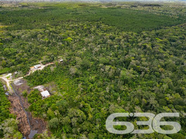 LOTE À VENDA NO BAIRRO SALINAS - BALNEÁRIO BARRA DO SUL

Descubra uma oportunidade única de investimento em Balneário Barra do Sul com este terreno plano de 360m², localizado no promissor bairro Salinas. Com 12 metros de frente e 30 metros de profundidade, este terreno oferece um amplo espaço para projetos futuros.

Ele  representa uma excelente escolha para investidores com visão de futuro. Ainda não situado em rua aberta, ele promete um grande potencial de valorização, ideal para quem busca um investimento estratégico a longo prazo.

Situado no bairro Salinas, este terreno está em uma região que combina tranquilidade e potencial de crescimento. Balneário Barra do Sul é conhecido por suas belezas naturais e qualidade de vida, oferecendo um cenário perfeito para desenvolvimento residencial ou comercial.

Com mais de 30 anos de experiência no mercado imobiliário, a 636 Negócios Imobiliários é sua parceira ideal para transformar este terreno em um investimento de sucesso.

Entre em contato conosco pelo telefone (47) 3448-3636 ou WhatsApp (47) 99190-0636 e descubra como podemos ajudar a realizar seu projeto de investimento.