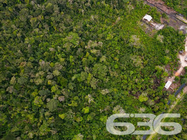 LOTE À VENDA NO BAIRRO SALINAS - BALNEÁRIO BARRA DO SUL

Descubra uma oportunidade única de investimento em Balneário Barra do Sul com este terreno plano de 360m², localizado no promissor bairro Salinas. Com 12 metros de frente e 30 metros de profundidade, este terreno oferece um amplo espaço para projetos futuros.

Ele  representa uma excelente escolha para investidores com visão de futuro. Ainda não situado em rua aberta, ele promete um grande potencial de valorização, ideal para quem busca um investimento estratégico a longo prazo.

Situado no bairro Salinas, este terreno está em uma região que combina tranquilidade e potencial de crescimento. Balneário Barra do Sul é conhecido por suas belezas naturais e qualidade de vida, oferecendo um cenário perfeito para desenvolvimento residencial ou comercial.

Com mais de 30 anos de experiência no mercado imobiliário, a 636 Negócios Imobiliários é sua parceira ideal para transformar este terreno em um investimento de sucesso.

Entre em contato conosco pelo telefone (47) 3448-3636 ou WhatsApp (47) 99190-0636 e descubra como podemos ajudar a realizar seu projeto de investimento.