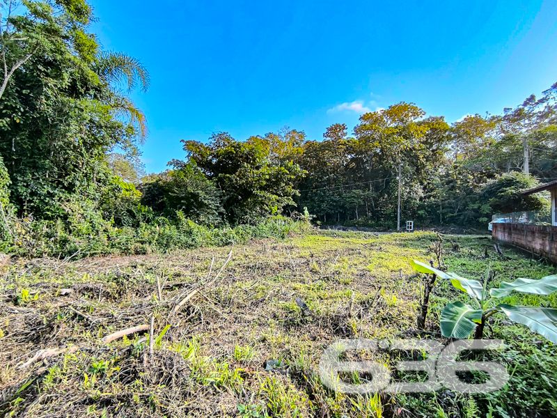 Terreno plano, com excelente aproveitamento e rodeado pela natureza em Balneário Barra do Sul/SC!

Se você busca um local tranquilo, com o som dos pássaros ao fundo, cercado por verde e com boa metragem para construir a casa dos sonhos ou investir em um projeto rentável, este terreno pode ser exatamente o que procura!

Com face norte, você terá excelente iluminação natural ao longo do dia. É o tipo de terreno que permite que sua casa seja bem ventilada, iluminada e naturalmente aconchegante.

A vizinhança é consolidada, tranquila e cercada pela natureza – ideal para quem busca qualidade de vida, seja para morar, investir ou mesmo construir uma casa de veraneio. 

Não perca essa oportunidade de garantir um pedaço de tranquilidade em uma das cidades litorâneas que mais crescem no norte de Santa Catarina.

Agende uma visita e venha sentir de perto o potencial deste lugar!
 
636 NEGÓCIOS IMOBILIÁRIOS: A SUA MELHOR ESCOLHA
Com mais de 30 anos de experiência, a 636 Negócios Imobiliários é sua parceira ideal para encontrar o imóvel perfeito. Estamos prontos para ajudá-lo a fazer deste imóvel o seu novo lar.
 
Telefone: (47) 3451-0636
WhatsApp: (47) 99190-0636
 
Não perca esta oportunidade única. Visite nosso site para mais informações: i636.com.br
