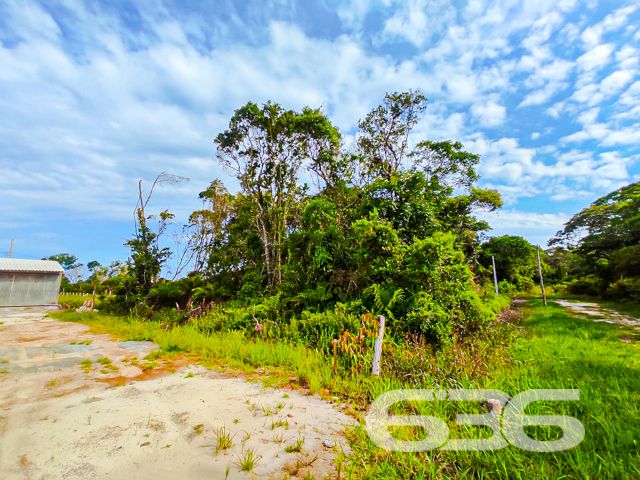 A oportunidade que você procurava para investir ou construir no litoral catarinense está aqui!
Apresentamos este excelente terreno à venda no bairro Ervino, em São Francisco do Sul/SC — uma região de crescente valorização e cercada por natureza exuberante.
A vegetação nativa no entorno proporciona um ambiente preservado, ideal para quem busca qualidade de vida, sossego e proximidade com áreas verdes. Com face oeste, o terreno garante o privilégio de aproveitar o pôr do sol diretamente do seu futuro lar.
Este é um espaço perfeito para quem deseja construir uma casa de praia, investir em um refúgio natural ou até mesmo empreender no litoral. O bairro Ervino é conhecido por suas belas paisagens, ambiente familiar e proximidade com praias de águas limpas e pouco exploradas, oferecendo contato direto com a natureza e tranquilidade ao mesmo tempo.
A 636 Negócios Imobiliários, com mais de 30 anos de experiência e uma estrutura completa para mediar negociações com segurança jurídica e excelência, está pronta para te acompanhar em todas as etapas da compra. Nossa equipe oferece atendimento especializado, orientação técnica e um compromisso inegociável com a sua satisfação.
Não perca essa chance única de garantir um espaço privilegiado em São Francisco do Sul. Entre em contato agora mesmo com a nossa equipe e saiba mais!
636 NEGÓCIOS IMOBILIÁRIOS: A SUA MELHOR ESCOLHA
Com mais de 30 anos de experiência, a 636 Negócios Imobiliários é sua parceira ideal para encontrar o imóvel perfeito. Estamos prontos para ajudá-lo a fazer deste imóvel o seu novo lar.
Telefone: (47) 3451-0636
WhatsApp: (47) 99190-0636
Não perca esta oportunidade única. Visite nosso site para mais informações: i636.com.br