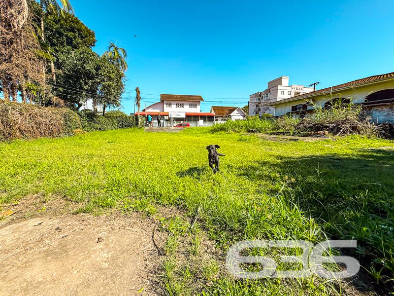 Terreno plano com 800m² à venda no bairro Anita Garibaldi – uma joia rara no coração de Joinville

Você está diante de uma das últimas grandes oportunidades no bairro Anita Garibaldi: um terreno plano com 800,00m² com localização privilegiada. Situado em rua pavimentada, cercado por edifícios e residências de padrão elevado, este terreno oferece um enorme potencial para construção residencial ou multifamiliar, investimento, ou até mesmo incorporação.

O imóvel atual conta com 2 dormitórios, 2 banheiros, sala de estar e jantar integradas, cozinha com copa, jardim, além de 4 vagas de garagem descobertas. 

A localização é estratégica: próximo a escolas, hospitais, transporte público, shopping centers, e serviços essenciais, oferecendo infraestrutura completa para quem deseja investir em qualidade de vida ou retorno financeiro.

Imóveis como este estão cada vez mais escassos em regiões centrais de Joinville. Aqui, você adquire não apenas um terreno – mas a base para construir algo grandioso em um dos bairros mais valorizados da cidade.

Entre em contato com a 636 Negócios Imobiliários e agende uma visita. Mais de 30 anos de experiência, uma equipe especializada e segurança jurídica completa fazem toda a diferença na hora de investir com confiança.
 
636 NEGÓCIOS IMOBILIÁRIOS: A SUA MELHOR ESCOLHA
Com mais de 30 anos de experiência, a 636 Negócios Imobiliários é sua parceira ideal para encontrar o imóvel perfeito. Estamos prontos para ajudá-lo a fazer deste imóvel o seu novo lar.
 
Telefone: (47) 3451-0636
WhatsApp: (47) 99190-0636
 
Não perca esta oportunidade única. Visite nosso site para mais informações: i636.com.br