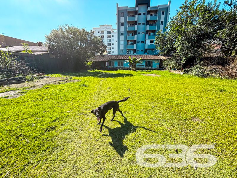 Terreno plano com 800m² à venda no bairro Anita Garibaldi – uma joia rara no coração de Joinville

Você está diante de uma das últimas grandes oportunidades no bairro Anita Garibaldi: um terreno plano com 800,00m² com localização privilegiada. Situado em rua pavimentada, cercado por edifícios e residências de padrão elevado, este terreno oferece um enorme potencial para construção residencial ou multifamiliar, investimento, ou até mesmo incorporação.

O imóvel atual conta com 2 dormitórios, 2 banheiros, sala de estar e jantar integradas, cozinha com copa, jardim, além de 4 vagas de garagem descobertas. 

A localização é estratégica: próximo a escolas, hospitais, transporte público, shopping centers, e serviços essenciais, oferecendo infraestrutura completa para quem deseja investir em qualidade de vida ou retorno financeiro.

Imóveis como este estão cada vez mais escassos em regiões centrais de Joinville. Aqui, você adquire não apenas um terreno – mas a base para construir algo grandioso em um dos bairros mais valorizados da cidade.

Entre em contato com a 636 Negócios Imobiliários e agende uma visita. Mais de 30 anos de experiência, uma equipe especializada e segurança jurídica completa fazem toda a diferença na hora de investir com confiança.
 
636 NEGÓCIOS IMOBILIÁRIOS: A SUA MELHOR ESCOLHA
Com mais de 30 anos de experiência, a 636 Negócios Imobiliários é sua parceira ideal para encontrar o imóvel perfeito. Estamos prontos para ajudá-lo a fazer deste imóvel o seu novo lar.
 
Telefone: (47) 3451-0636
WhatsApp: (47) 99190-0636
 
Não perca esta oportunidade única. Visite nosso site para mais informações: i636.com.br