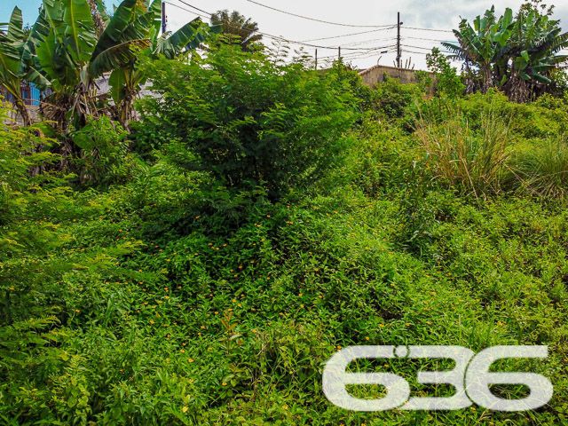 TERRENO DE ESQUINA NO BAIRRO BOEHMERWALD, PERFEITO PARA PROJETOS AMBICIOSOS!
Apresentamos uma oportunidade singular no bairro Boehmerwald: um terreno de esquina com 1.267m², plano e regular, pronto para acolher seus projetos mais ambiciosos. Este espaço é ideal para quem busca investir em um projeto comercial ou residencial de grande porte.
Ele oferece espaço de sobra para a realização de uma variedade de projetos. Seja para construir um complexo residencial ou um centro comercial, este terreno é o cenário perfeito para transformar suas ideias em realidade. Sua configuração plana e regular facilita o desenvolvimento de qualquer tipo de construção.
Localizado no bairro Boehmerwald, este terreno está em uma área de grande potencial. A região oferece uma infraestrutura completa, com fácil acesso a serviços essenciais, tornando-a ideal tanto para empreendimentos comerciais quanto residenciais.
Na 636 Negócios Imobiliários, temos o compromisso de oferecer as melhores oportunidades de investimento imobiliário. Com mais de 30 anos de experiência, nossa equipe está pronta para ajudá-lo a aproveitar esta oportunidade no bairro Boehmerwald.
Para mais informações, entre em contato conosco pelo telefone (47) 3451-0636 ou WhatsApp (47) 99190-0636. Estamos à disposição para ajudá-lo a realizar um investimento seguro e promissor!