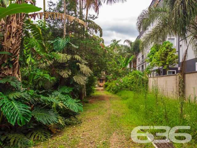 AMPLO TERRENO À VENDA NO BAIRRO SANTO ANTÔNIO - ESTUDA PERMUTA  

Este é um ótimo e imponente lote, cuja extensão dispõe de 675m². Por sua localização extremamente privilegiada, num dos melhores e mais nobres bairros de Joinville, o imóvel desfruta da proximidade de importantíssimas empresas, transporte público, escolas, comércios em geral e muito mais!

O lote é plano e possui 18 metros de frente, 12 metros nos fundos e 45 metros nas laterais.

Ficou interessado? O que você está esperando!? Entre já em contato conosco e agende sua visita para conhecer pessoalmente este imóvel!

Consulte um de nossos corretores e saiba mais:
Telefone| 47 3451-0636
WhatsApp| 47 99190-0636

Imobiliária 636.