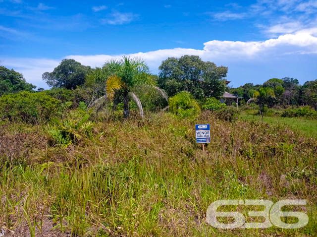 APROVEITE ESTE TERRENO NO ERVINO!

Este é o lote perfeito para você que quer começar aquela construção dos sonhos!

São 360m² de terreno, sendo 12m² de frente e 30m² de lados, amplo e em boas condições - além da ótima localização. 

Situado no bairro Ervino, em São Francisco do Sul, no estado de Santa Catarina, uma pequena ilha localizada bem próxima ao continente e a apenas 1 hora de Joinville. Devido a sua geografia, a cidade ganhou paisagens naturais encantadoras, com o mar rodeando todo o seu território.

Terreno próximo de estabelecimentos e comércios que facilitam seu dia a dia, há aproximadamente na mesma distância entre a lagoa e a praia da região. A lagoa conta com acesso para embarcações.

E, aí gostou? Quer conhecer mais sobre esse vantajoso investimento? Então consulte um de nossos corretores e saiba mais.
Esperamos por você!!!

Fale conosco:
IMOBILIÁRIA 636.
Telefone: (47) 3448-3636
WhatsApp: (47) 99190-0636