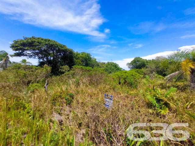 APROVEITE ESTE TERRENO NO ERVINO!

Este é o lote perfeito para você que quer começar aquela construção dos sonhos!

São 360m² de terreno, sendo 12m² de frente e 30m² de lados, amplo e em boas condições - além da ótima localização. 

Situado no bairro Ervino, em São Francisco do Sul, no estado de Santa Catarina, uma pequena ilha localizada bem próxima ao continente e a apenas 1 hora de Joinville. Devido a sua geografia, a cidade ganhou paisagens naturais encantadoras, com o mar rodeando todo o seu território.

Terreno próximo de estabelecimentos e comércios que facilitam seu dia a dia, há aproximadamente na mesma distância entre a lagoa e a praia da região. A lagoa conta com acesso para embarcações.

E, aí gostou? Quer conhecer mais sobre esse vantajoso investimento? Então consulte um de nossos corretores e saiba mais.
Esperamos por você!!!

Fale conosco:
IMOBILIÁRIA 636.
Telefone: (47) 3448-3636
WhatsApp: (47) 99190-0636