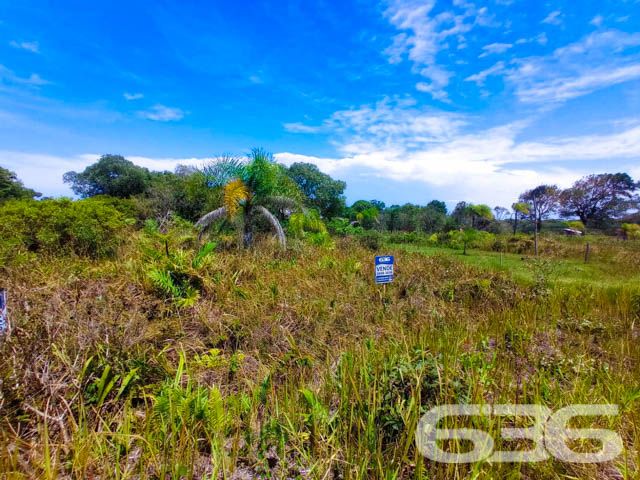 APROVEITE ESTE TERRENO NO ERVINO!

Este é o lote perfeito para você que quer começar aquela construção dos sonhos!

São 360m² de terreno, sendo 12m² de frente e 30m² de lados, amplo e em boas condições - além da ótima localização. 

Situado no bairro Ervino, em São Francisco do Sul, no estado de Santa Catarina, uma pequena ilha localizada bem próxima ao continente e a apenas 1 hora de Joinville. Devido a sua geografia, a cidade ganhou paisagens naturais encantadoras, com o mar rodeando todo o seu território.

Terreno próximo de estabelecimentos e comércios que facilitam seu dia a dia, há aproximadamente na mesma distância entre a lagoa e a praia da região. A lagoa conta com acesso para embarcações.

E, aí gostou? Quer conhecer mais sobre esse vantajoso investimento? Então consulte um de nossos corretores e saiba mais.
Esperamos por você!!!

Fale conosco:
IMOBILIÁRIA 636.
Telefone: (47) 3448-3636
WhatsApp: (47) 99190-0636