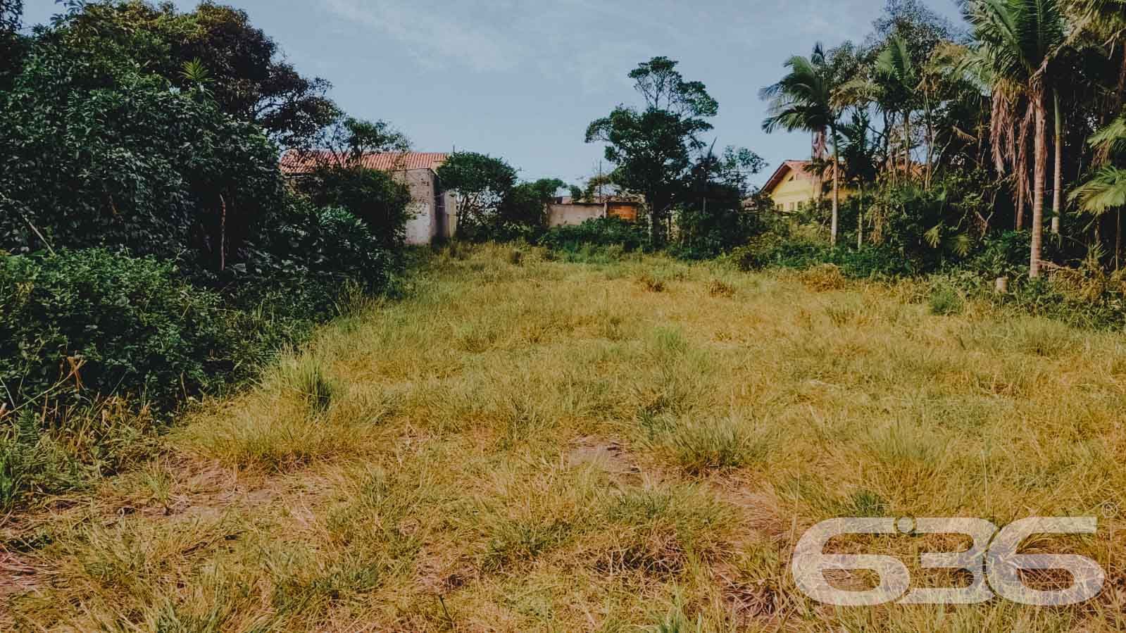 TERRENO À VENDA EM SÃO FRANCISCO DO SUL, SANTA CATARINA

São 360m² de terreno com potencial para investimento, com 12m² de frente e 30m² de lados. Terreno de topografia plana e regular, pronto para obras. 

Perfeito para você que deseja começar aquela construção dos sonhos. 

Rodeado pela natureza modesta do bairro Ervino, localizado em São Francisco do Sul, uma ilha exuberante de belas praias e paisagens fantásticas com inúmeras opções de lazer ao ar livre, com uma posição geográfica privilegiada com acesso rápido a qualquer outro bairro da região e a poucos metros da praia do Ervino.

Gostou? Então agende já sua visita com um de nossos corretores e saiba mais sobre esse vantajoso e oportuno investimento.
Esperamos por você!!!

Fale conosco:
Telefone: (47) 3448-3636
WhatsApp: (47) 99190-0636

Imobiliária 636.