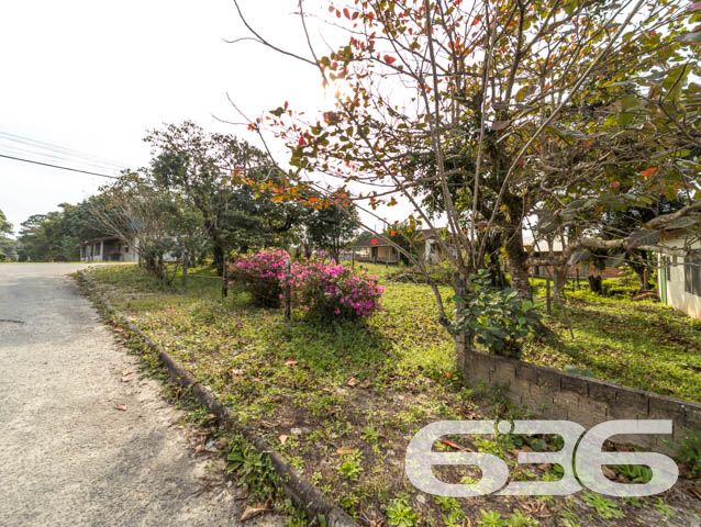 IMÓVEL COM 2 QUARTOS NO BAIRRO PINHEIROS

São 93m² de área construída de uma bela residência em um terreno com ótimos 476m², sendo 28 metros de frente, de topografia com declive suave.

Sua composição dispõe de 2 dormitórios amplos e arejados, cozinha, sala de estar e banheiro social. Ainda conta com um lindíssimo jardim com flores, plantas e árvores - criando uma atmosfera incrível no ambiente.

Imóvel com amplo terreno e vaga de garagem coberta, situado em rua pavimentada, rodeado pela natureza do local. A cerca de 100 metros da Praça Curt e a menos de 900 metros da Praia da Lagoa.

Possui ainda fácil acesso para a Av. Jaraguá do Sul, próximo de comércios e estabelecimentos essenciais para o dia a dia, como: mercado, verdureira, panificadora, restaurantes e outros serviços da região do bairro Pinheiros.

Não perca tempo! Venha conhecer esse oportuno imóvel e viver histórias incríveis aqui!

Esperamos por você!

Fale conosco:
Telefone: (47) 3448-3636
WhatsApp: (47) 99190-0636

Imobiliária 636.

