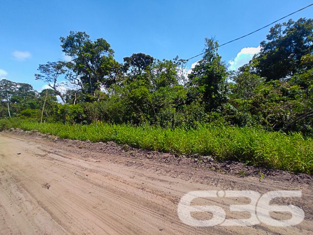ERVINO, SÃO FRANCISCO DO SUL: INVISTA NESTE AMPLO TERRENO!

Este terreno de 714m², situado no bairro Ervino em São Francisco do Sul, é uma oportunidade de ouro para investidores. Com 30 metros de frente e 23,80 metros nas laterais, oferece um espaço vasto para uma variedade de projetos.

O terreno é ideal para quem deseja investir em um espaço com grande potencial de valorização. Seja para construir uma residência dos sonhos, um complexo residencial ou um empreendimento comercial, as possibilidades são infinitas. A área ampla e bem dimensionada é perfeita para um desenvolvimento planejado, proporcionando flexibilidade para projetos arquitetônicos inovadores e rentáveis.

Localizado no tranquilo bairro Ervino, este terreno está em uma região em ascensão, prometendo ser um investimento lucrativo. O bairro é conhecido por sua atmosfera pacífica e proximidade com a natureza, oferecendo um ambiente ideal para projetos residenciais ou comerciais.

A 636 Negócios Imobiliários, com mais de 30 anos de experiência no mercado imobiliário, é a parceira ideal para realizar seu projeto de investimento. Nossa equipe está pronta para oferecer suporte e orientação em cada etapa. Entre em contato conosco pelo telefone: (47) 3448-3636 ou WhatsApp: (47) 99190-0636.

Este e outros milhares de imóveis no site: i636.com.br