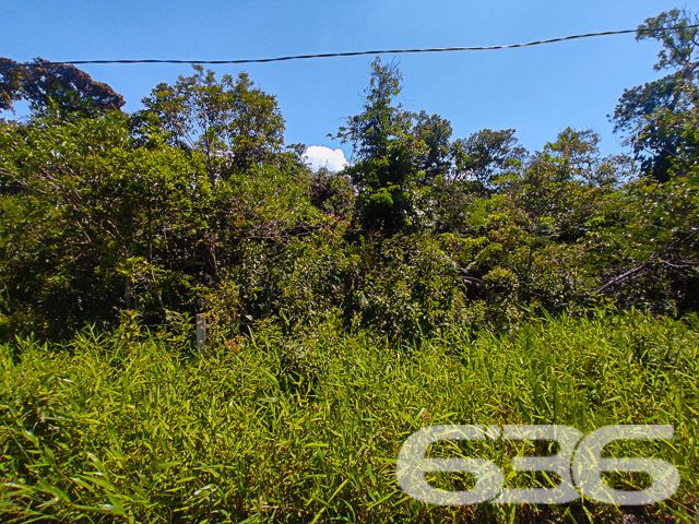 ERVINO, SÃO FRANCISCO DO SUL: INVISTA NESTE AMPLO TERRENO!

Este terreno de 714m², situado no bairro Ervino em São Francisco do Sul, é uma oportunidade de ouro para investidores. Com 30 metros de frente e 23,80 metros nas laterais, oferece um espaço vasto para uma variedade de projetos.

O terreno é ideal para quem deseja investir em um espaço com grande potencial de valorização. Seja para construir uma residência dos sonhos, um complexo residencial ou um empreendimento comercial, as possibilidades são infinitas. A área ampla e bem dimensionada é perfeita para um desenvolvimento planejado, proporcionando flexibilidade para projetos arquitetônicos inovadores e rentáveis.

Localizado no tranquilo bairro Ervino, este terreno está em uma região em ascensão, prometendo ser um investimento lucrativo. O bairro é conhecido por sua atmosfera pacífica e proximidade com a natureza, oferecendo um ambiente ideal para projetos residenciais ou comerciais.

A 636 Negócios Imobiliários, com mais de 30 anos de experiência no mercado imobiliário, é a parceira ideal para realizar seu projeto de investimento. Nossa equipe está pronta para oferecer suporte e orientação em cada etapa. Entre em contato conosco pelo telefone: (47) 3448-3636 ou WhatsApp: (47) 99190-0636.

Este e outros milhares de imóveis no site: i636.com.br