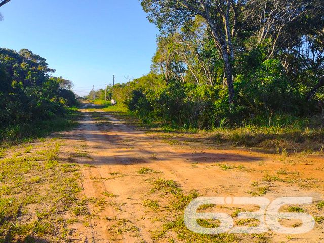 TERRENO À VENDA NO BAIRRO ERVINO - SÃO FRANCISCO DO SUL
Descubra a oportunidade de construir sua casa dos sonhos em São Francisco do Sul, no bairro Ervino. Este terreno excepcional, com 360m² de área total, oferece 12 metros de frente e 30 metros de profundidade, um espaço perfeito para projetar sua residência ou investimento.
Imagine a vida a apenas 400 metros da deslumbrante praia do Ervino, onde cada dia começa com a brisa do mar e o som suave das ondas. Este terreno não é apenas um lote, é um convite para um estilo de vida tranquilo e conectado à natureza, ideal para quem busca paz e qualidade de vida.
Localizado no bairro Ervino, conhecido por sua beleza natural e tranquilidade, este terreno está próximo a uma das praias mais encantadoras de São Francisco do Sul. A região oferece uma combinação perfeita de serenidade e conveniência, com fácil acesso a serviços essenciais e lazer.
Na 636 Negócios Imobiliários, com mais de 30 anos de experiência no mercado, estamos prontos para ajudá-lo a realizar seu sonho de viver perto do mar. Entre em contato conosco pelo telefone: (47) 3448-3636 ou WhatsApp: (47) 99190-0636 para saber mais.
Este e outros milhares de imóveis no site: i636.com.br