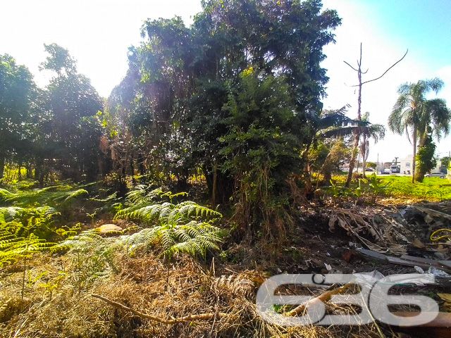 Descubra um mundo de possibilidades com este excepcional terreno localizado no coração de Balneário Barra do Sul, SC. Oferecendo uma generosa área de 1.750,00 m² com dimensões perfeitamente simétricas de 25,00 m de frente e fundos por 70,00 m de laterais, este terreno é o espaço ideal para materializar seus sonhos, seja construindo a residência dos seus sonhos ou um empreendimento lucrativo.
Situado em uma rua pavimentada no Centro, este terreno promete conveniência e acessibilidade, com fácil acesso às principais vias da cidade, serviços locais e atrações turísticas, garantindo não só uma vida cotidiana confortável mas também um excelente potencial de valorização. O terreno plano facilita a construção e minimiza custos de preparação do solo, tornando-o ainda mais atraente.
A 636 Negócios Imobiliários, com mais de 30 anos de experiência em imóveis e uma equipe altamente qualificada, é perfeita para ajudá-lo a adquirir este magnífico terreno. Nossa perícia técnico-jurídica garante uma transação segura e eficiente, sem surpresas no processo de compra. Investir em um imóvel conosco é garantia de estar fazendo um negócio com a segurança e a confiança que você merece.
Além disso, nosso compromisso com a excelência é refletido na satisfação dos nossos clientes, como pode ser visto em nossa reputação de cinco estrelas no Google. Estamos prontos para oferecer o apoio necessário em cada etapa da sua compra, com transparência e dedicação.
Não perca a oportunidade de possuir um dos terrenos mais desejados de Balneário Barra do Sul. Entre em contato com a 636 Negócios Imobiliários hoje mesmo para mais informações e para começar a transformar seu sonho em realidade. Venha construir sua história conosco, onde grandes pessoas constroem grandes empreendimentos!
636 NEGÓCIOS IMOBILIÁRIOS: A SUA MELHOR ESCOLHA
Com mais de 30 anos de experiência, a 636 Negócios Imobiliários é sua parceira ideal para encontrar o imóvel perfeito. Estamos prontos para ajudá-lo a fazer deste imóvel o seu novo lar.
Telefone: (47) 3451-0636
WhatsApp: (47) 99190-0636
Não perca esta oportunidade única. Visite nosso site para mais informações: i636.com.br
