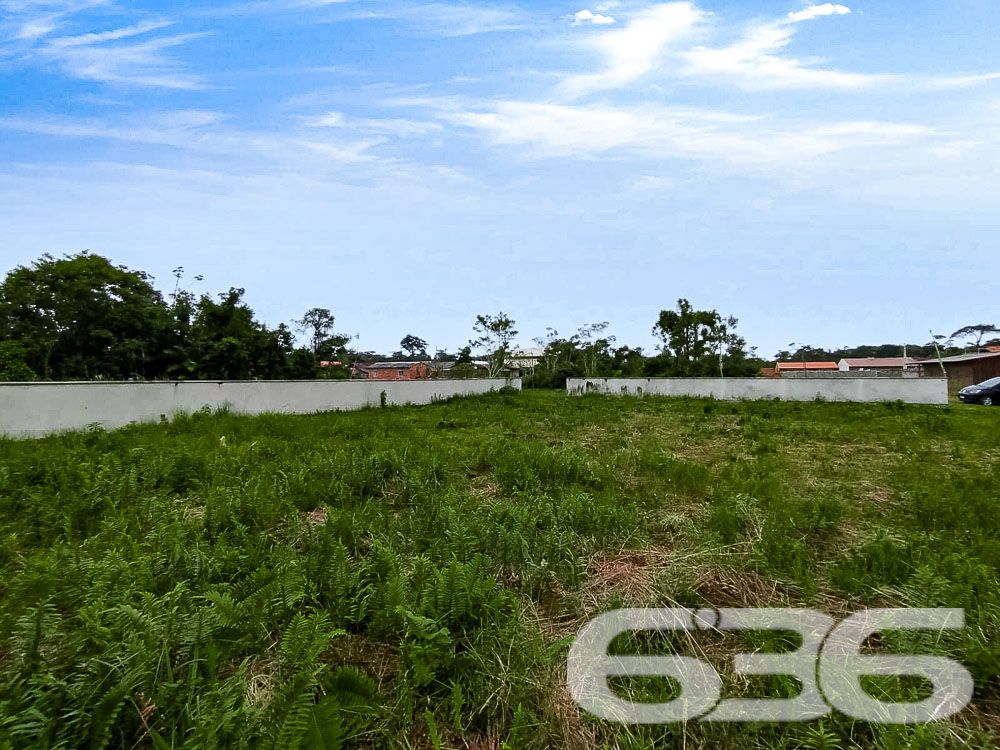 Terreno Murado em São Francisco do Sul – Oportunidade Imperdível no Bairro Ervino!
Este é o momento ideal para garantir seu espaço em um dos locais mais promissores de São Francisco do Sul, SC. Situado no bairro Ervino, este terreno oferece 370m² de área total, com dimensões perfeitas para a construção do seu projeto dos sonhos. O terreno é completamente murado, proporcionando segurança e privacidade, características essenciais para quem valoriza tranquilidade.
Situado em uma área tranquila e em constante desenvolvimento, o terreno se encontra em uma região que proporciona a tranquilidade e a beleza natural típicas de São Francisco do Sul. O Bairro Ervino é conhecido por sua proximidade com a natureza, perfeito para quem deseja construir um lar longe do estresse urbano, mas com fácil acesso aos principais pontos da cidade.
Pontos de Destaque:
Terreno murado: Garantia de segurança, privacidade e economia com futuras construções de muros.
Face Norte: Aproveite o melhor da iluminação natural, valorizando ainda mais o seu projeto arquitetônico.
Vizinhança em expansão: A região está em pleno desenvolvimento, o que representa uma excelente oportunidade de valorização do imóvel.
Este terreno é a escolha ideal para quem busca um espaço para construir com segurança e tranquilidade, além de oferecer um ótimo custo-benefício. Não perca essa oportunidade única de investir em um dos destinos mais procurados do litoral catarinense!
Entre em contato conosco para mais informações e agende uma visita. Realize o sonho de construir o seu refúgio em São Francisco do Sul com a 636 Negócios Imobiliários – referência em intermediação imobiliária há mais de 30 anos.
636 NEGÓCIOS IMOBILIÁRIOS: A SUA MELHOR ESCOLHA
Com mais de 30 anos de experiência, a 636 Negócios Imobiliários é sua parceira ideal para encontrar o imóvel perfeito. Estamos prontos para ajudá-lo a fazer deste imóvel o seu novo lar.
Telefone: (47) 3451-0636
WhatsApp: (47) 99190-0636
Não perca esta oportunidade única. Visite nosso site para mais informações: i636.com.br