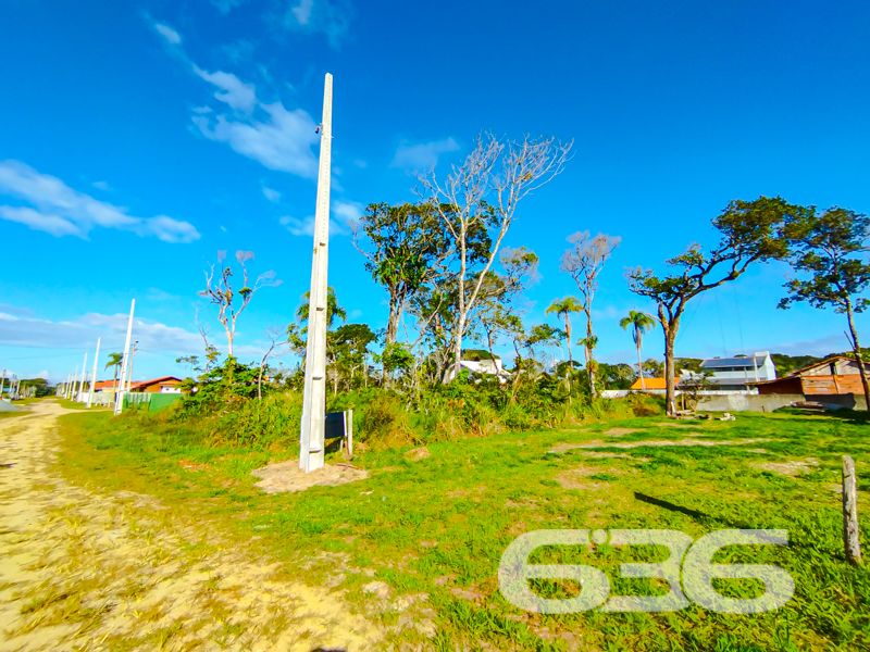 Terreno à venda no Ervino – São Francisco do Sul/SC
Se você está buscando um terreno plano, em uma localização estratégica no litoral norte de Santa Catarina, esta é a oportunidade ideal.
Localizado no bairro Ervino, em São Francisco do Sul/SC, este terreno possui 375 m², com 12,50 metros de frente e fundos, e 30 metros nas laterais, formando um lote de geometria regular e topografia plana, perfeito para construção imediata.
Diferenciais da localização:
Apenas alguns metros da Praia do Ervino, uma das mais tranquilas e preservadas da região, próximo do do Canal do Linguado, excelente ponto para quem aprecia pesca, esportes náuticos e contato com a natureza.
Região em franca expansão, ideal tanto para uso residencial quanto para investimento de longo prazo.
As fotos comprovam o potencial deste terreno: arborizado, com boa incidência solar, ventilação natural e rodeado por verde. É um espaço que oferece liberdade para construir com conforto, privacidade e qualidade de vida.
636 NEGÓCIOS IMOBILIÁRIOS: A SUA MELHOR ESCOLHA
Com mais de 30 anos de experiência, a 636 Negócios Imobiliários é sua parceira ideal para encontrar o imóvel perfeito. Estamos prontos para ajudá-lo a fazer deste imóvel o seu novo lar.
Telefone: (47) 3451-0636
WhatsApp: (47) 99190-0636
Não perca esta oportunidade única. Visite nosso site para mais informações: i636.com.br