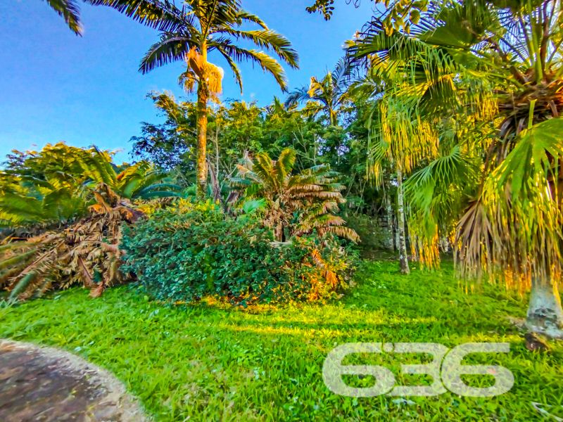 Terreno à venda em Ubatuba, São Francisco do Sul/SC | 628,57m² | A poucos passos do mar!
Você sonha em construir seu refúgio exclusivo à beira-mar? Essa é a sua oportunidade!
Apresentamos um terreno espetacular com 628,57m² de área total, localizado em uma das regiões mais desejadas do litoral catarinense: o bairro Ubatuba, em São Francisco do Sul/SC. Situado em rua pavimentada, esse terreno é ideal para quem busca conforto, praticidade e proximidade com a natureza.
O grande diferencial está nas fotos reais do local: vegetação exuberante, ruas tranquilas, cenário paradisíaco e o mar a poucos passos de distância. Imagine acordar com o som das ondas, caminhar até a praia em minutos e viver com qualidade de vida em meio à natureza preservada. Além disso, a região está em crescente valorização, cercada por belas residências e infraestrutura consolidada.
Seja para investir, construir sua casa de veraneio ou mudar de vida com os pés na areia, este terreno é uma escolha estratégica e inspiradora.
Não deixe essa oportunidade única escapar. Fale agora com a 636 Negócios Imobiliários – há mais de 30 anos transformando terrenos em conquistas de vida.
636 NEGÓCIOS IMOBILIÁRIOS: A SUA MELHOR ESCOLHA
Com mais de 30 anos de experiência, a 636 Negócios Imobiliários é sua parceira ideal para encontrar o imóvel perfeito. Estamos prontos para ajudá-lo a fazer deste imóvel o seu novo lar.
Telefone: (47) 3451-0636
WhatsApp: (47) 99190-0636
Não perca esta oportunidade única. Visite nosso site para mais informações: i636.com.br
