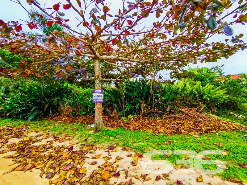 Descubra Seu Pedacinho de Paraíso em São Francisco do Sul!
Apresentamos uma oportunidade única para quem busca uma conexão mais próxima com a natureza, sem abrir mão do conforto e da acessibilidade. Localizado na encantadora Praia do Ervino, em São Francisco do Sul, um dos municípios mais charmosos e históricos de Santa Catarina, este terreno é o convite perfeito para você realizar seu sonho de viver ou investir em um dos locais mais cobiçados do nosso litoral.
Características Exclusivas do Terreno:
- Área Total: 300,00m² – Um espaço ideal para você construir a casa dos sonhos ou um projeto inovador no coração da natureza.
- Topografia: Terreno plano, facilitando o planejamento e execução da sua construção com menos custos de movimentação de terra.
- Localização: Praia do Ervino, São Francisco do Sul, SC – uma localização encantadora sem rua pavimentada, garantindo uma experiência mais próxima da essência natural do local.
Imagine acordar com o suave som das ondas do mar, sentir a brisa marítima e ainda estar em um cenário que combina tranquilidade e aconchego. Este terreno é a definição de refúgio perfeito, onde você pode criar memórias inesquecíveis com sua família.
Potencial de Investimento:
O constante desenvolvimento e valorização da região fazem deste terreno uma oportunidade imperdível. Seja para a construção de um refúgio de férias, residência fixa ou investimento em locação para temporadas, a popularidade de São Francisco do Sul é garantia de retorno certo.
Acesso e Mobilidade:
Por que esperar mais? Dê o primeiro passo para transformar seu sonho em realidade. Entre em contato com a 636 Negócios Imobiliários e saiba como adquirir essa joia da natureza em uma das praias mais belas do Brasil.
Façamos juntos esse sonho acontecer!
Com mais de 30 anos de experiência, a 636 Negócios Imobiliários é sua parceira ideal para encontrar o imóvel perfeito. Estamos prontos para ajudá-lo a fazer deste imóvel o seu novo lar.
Telefone: (47) 3451-0636
WhatsApp: (47) 99190-0636
Não perca esta oportunidade única. Visite nosso site para mais informações: i636.com.br