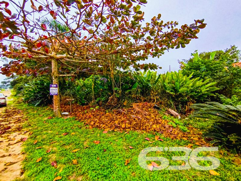 Descubra Seu Pedacinho de Paraíso em São Francisco do Sul!
Apresentamos uma oportunidade única para quem busca uma conexão mais próxima com a natureza, sem abrir mão do conforto e da acessibilidade. Localizado na encantadora Praia do Ervino, em São Francisco do Sul, um dos municípios mais charmosos e históricos de Santa Catarina, este terreno é o convite perfeito para você realizar seu sonho de viver ou investir em um dos locais mais cobiçados do nosso litoral.
Características Exclusivas do Terreno:
- Área Total: 300,00m² – Um espaço ideal para você construir a casa dos sonhos ou um projeto inovador no coração da natureza.
- Topografia: Terreno plano, facilitando o planejamento e execução da sua construção com menos custos de movimentação de terra.
- Localização: Praia do Ervino, São Francisco do Sul, SC – uma localização encantadora sem rua pavimentada, garantindo uma experiência mais próxima da essência natural do local.
Imagine acordar com o suave som das ondas do mar, sentir a brisa marítima e ainda estar em um cenário que combina tranquilidade e aconchego. Este terreno é a definição de refúgio perfeito, onde você pode criar memórias inesquecíveis com sua família.
Potencial de Investimento:
O constante desenvolvimento e valorização da região fazem deste terreno uma oportunidade imperdível. Seja para a construção de um refúgio de férias, residência fixa ou investimento em locação para temporadas, a popularidade de São Francisco do Sul é garantia de retorno certo.
Acesso e Mobilidade:
Por que esperar mais? Dê o primeiro passo para transformar seu sonho em realidade. Entre em contato com a 636 Negócios Imobiliários e saiba como adquirir essa joia da natureza em uma das praias mais belas do Brasil.
Façamos juntos esse sonho acontecer!
Com mais de 30 anos de experiência, a 636 Negócios Imobiliários é sua parceira ideal para encontrar o imóvel perfeito. Estamos prontos para ajudá-lo a fazer deste imóvel o seu novo lar.
Telefone: (47) 3451-0636
WhatsApp: (47) 99190-0636
Não perca esta oportunidade única. Visite nosso site para mais informações: i636.com.br