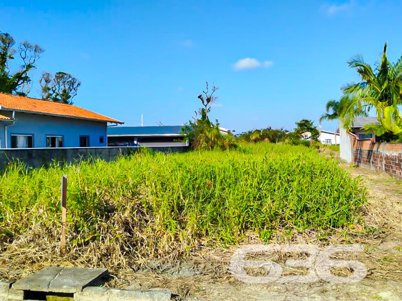 Descubra o seu próximo investimento no litoral paradisíaco de Santa Catarina! Apresentamos a você uma excelente oportunidade de adquirir um terreno repleto de potencial na charmosa cidade de São Francisco do Sul, localizada no encantador bairro de Ervino. Este terreno, com geometria regular e topografia plana, é a escolha perfeita para quem busca construir a casa dos sonhos ou investir em um projeto promissor.

Dimensões e Características: 
Situado em uma rua pavimentada, o terreno apresenta travessão de frente e dos fundos com 14 metros cada, e laterais com 35 metros, totalizando uma ampla área de 490,00 m². Com face voltada para o norte, oferece ótima incidência solar, proporcionando um ambiente iluminado e agradável para futuras construções.

Localização Privilegiada:
Ervino é um bairro tranquilo, conhecido por suas belezas naturais e pela proximidade com o mar, ideal para quem valoriza o sossego e a qualidade de vida. São Francisco do Sul, por sua vez, é uma das cidades mais antigas do Brasil, repleta de história, cultura e belas paisagens. A região oferece fácil acesso a comércios, serviços e uma infraestrutura que atende a todas as necessidades do dia a dia.

Potencial de Construção:
A topografia plana e a geometria regular tornam este terreno ideal para os mais variados projetos. Seja para construir uma casa de veraneio, um condomínio de casas ou até um comércio local, as possibilidades são infinitas. A solidez do mercado imobiliário em São Francisco do Sul garante que esta seja uma escolha segura e vantajosa para investidores visionários.

Disponibilidade Imediata:
Este terreno está disponível para entrega imediata. Não perca a chance de realizar o seu sonho e investir em um patrimônio com grande valorização futura. Seja para uso pessoal ou como investimento, a localização e as características deste imóvel conferem uma excelente relação de custo-benefício.

Convidamos você a conhecer de perto este incrível terreno e visualizar todas as possibilidades que ele tem a oferecer. Entre em contato conosco, da 636 Negócios Imobiliários, e agende uma visita ao local. Nossa equipe está à disposição para auxiliá-lo em todas as etapas, garantindo uma transação segura e satisfatória.

Não espere mais para realizar o seu sonho de viver ou investir em um dos mais belos cartões-postais de Santa Catarina. Esta é a sua chance de fazer parte da história e das belezas naturais de São Francisco do Sul. Entre em contato agora mesmo e descubra todas as vantagens de adquirir este terreno excepcional!
 
636 NEGÓCIOS IMOBILIÁRIOS: A SUA MELHOR ESCOLHA
Com mais de 30 anos de experiência, a 636 Negócios Imobiliários é sua parceira ideal para encontrar o imóvel perfeito. Estamos prontos para ajudá-lo a fazer deste imóvel o seu novo lar.
 
Telefone: (47) 3451-0636
WhatsApp: (47) 99190-0636
 
Não perca esta oportunidade única. Visite nosso site para mais informações: i636.com.br