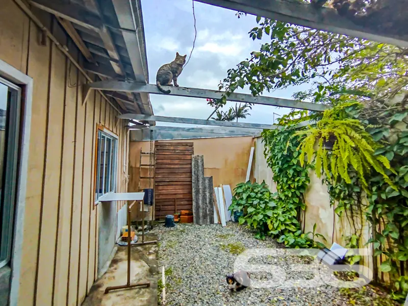 VENDE-SE IMÓVEL COM POMAR NO BAIRRO COSTEIRA, BALN