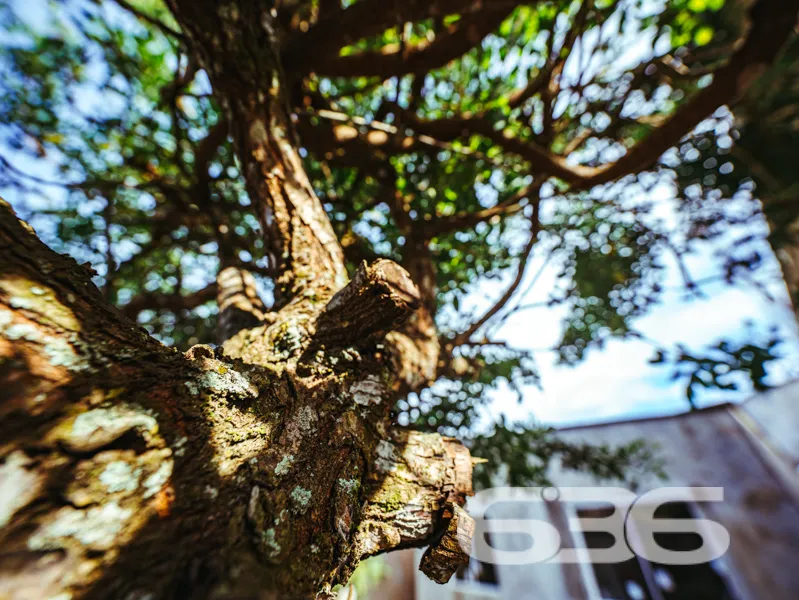 Conforto, tranquilidade e estrutura completa te es