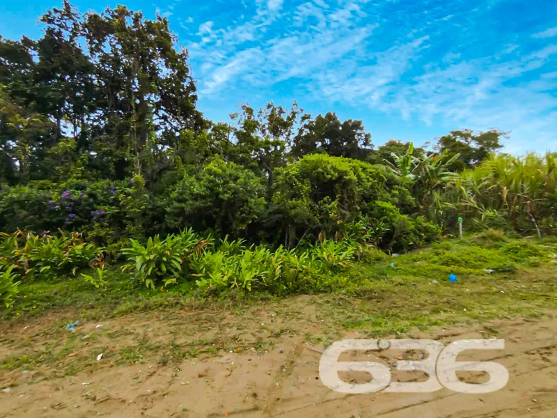 Descubra um pedaço do paraíso em Balneário Barra d